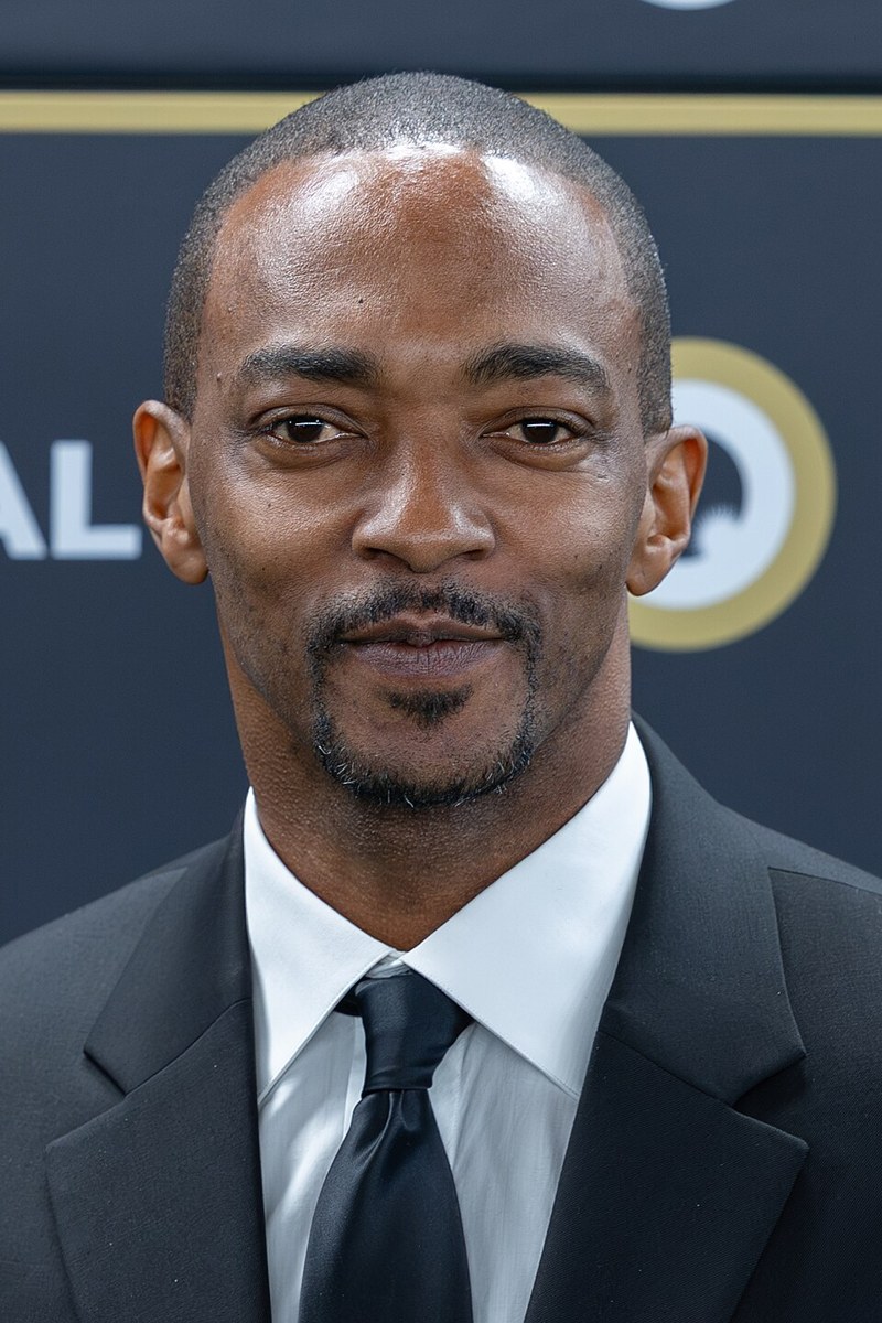 Anthony Mackie Brave New World Salary: Undisclosed