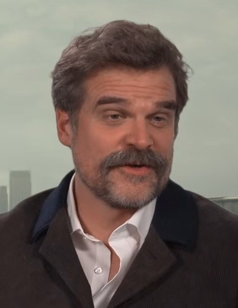 David Harbour Stranger Things Salary Per Episode