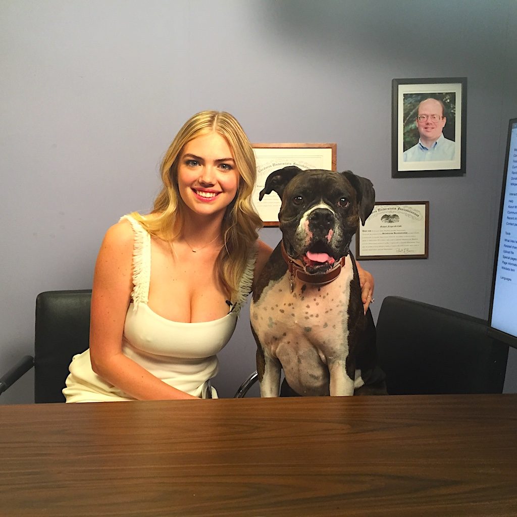 Kate Upton — public figure profile photo
