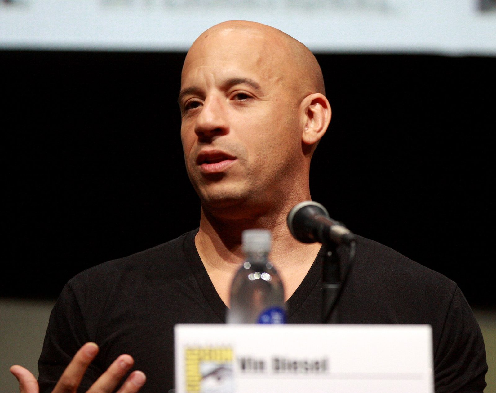 Vin Diesel — family and biography profile photo