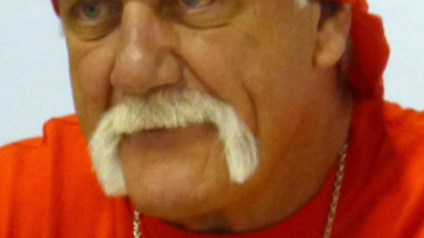 Hulk Hogan, father of two children, Brooke and Nick