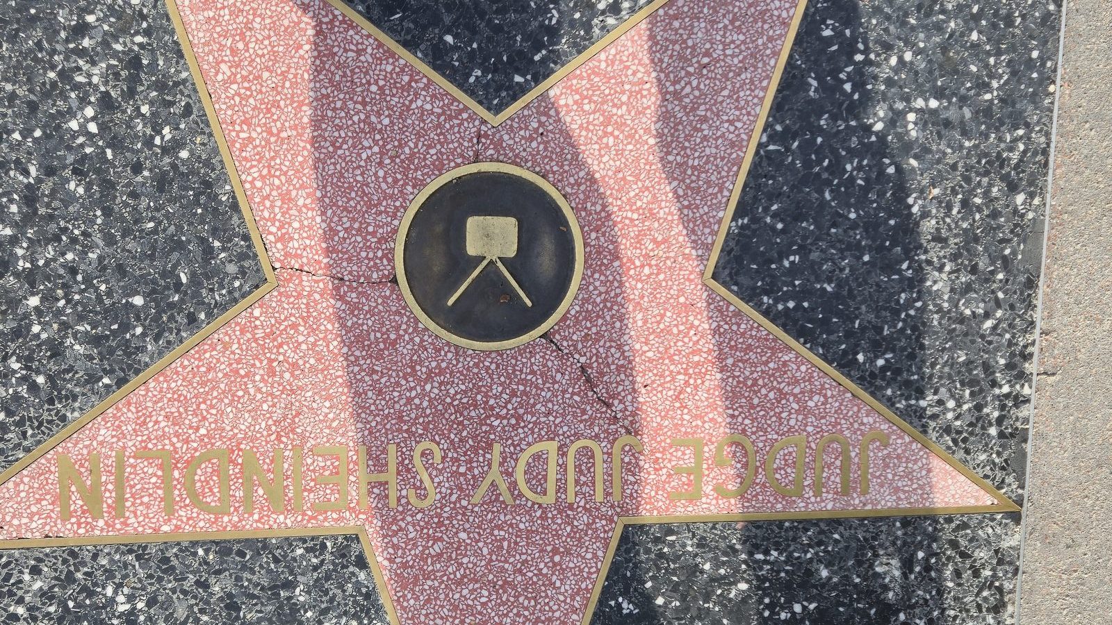 Judge Judy, mother of five children in a blended family