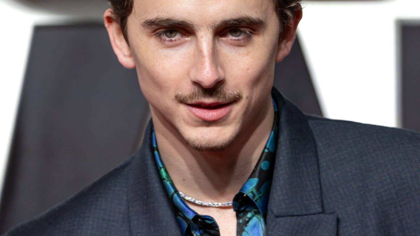 Timothee Chalamet in 2025