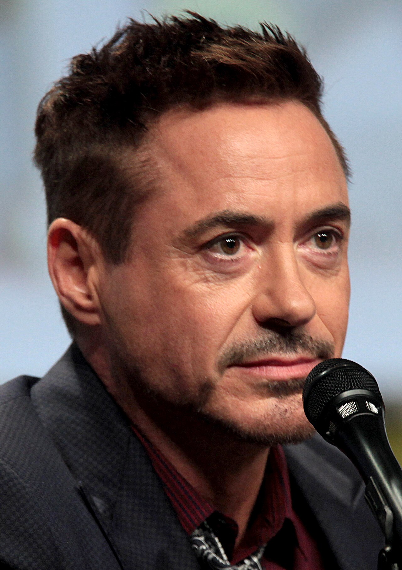 Robert Downey Jr. photographed at a public appearance