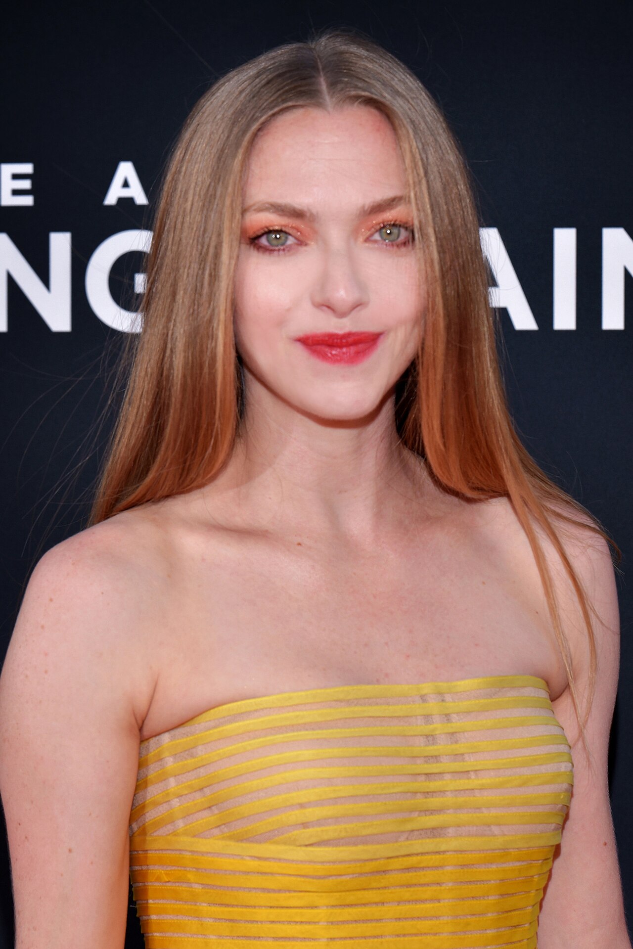 How Old Is Amanda Seyfried's Son? Nina & Thomas Jr. (2026)