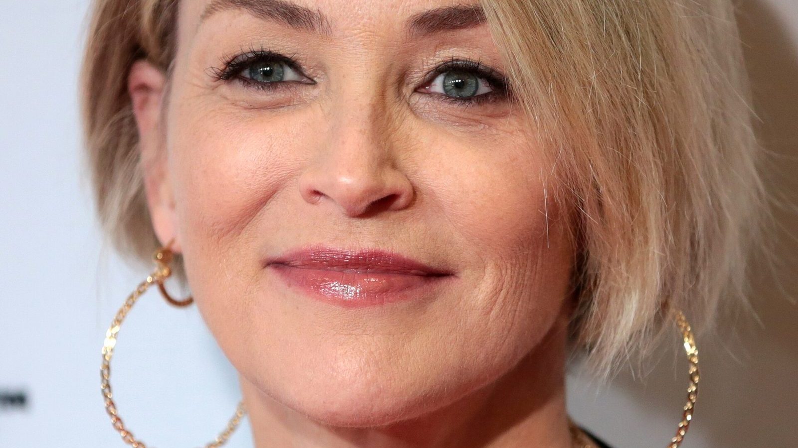 Sharon Stone, American actress: love life and relationship status