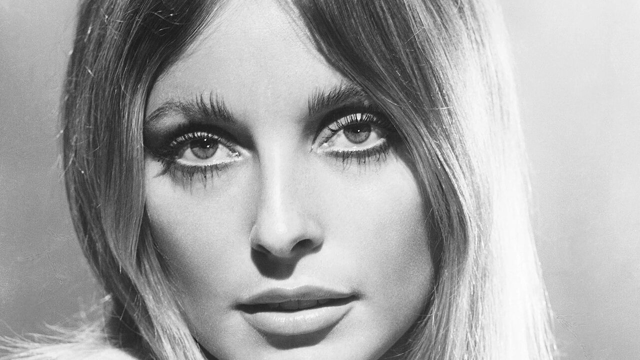 Sharon Tate biography profile photo
