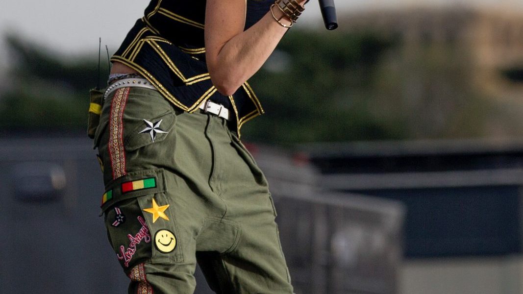Gwen Stefani, the No Doubt singer