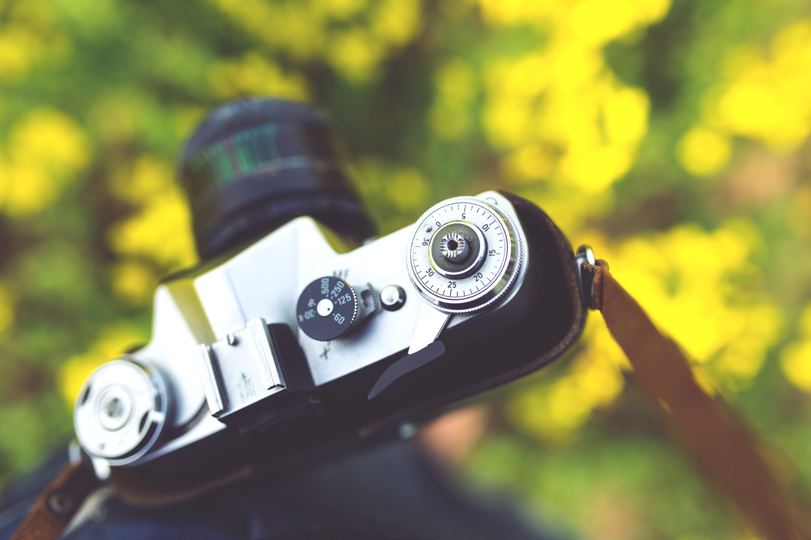 Thematic illustration: a vintage camera