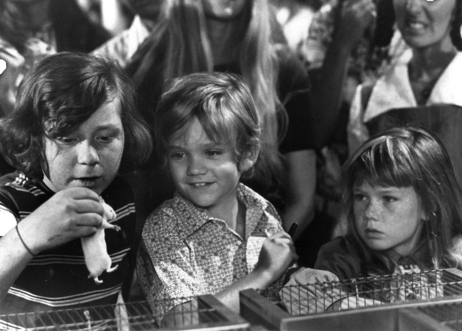 1971 Partridge Family cast photo: Danny Bonaduce, Brian Forster (center), and Suzanne Crough - Forster is now a race car driver in California