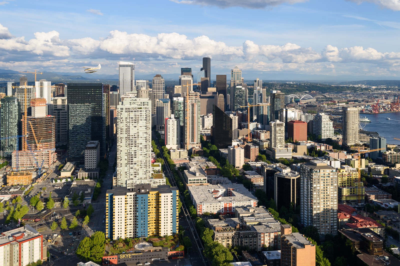 Thematic illustration: the Seattle skyline from the Space Needle
