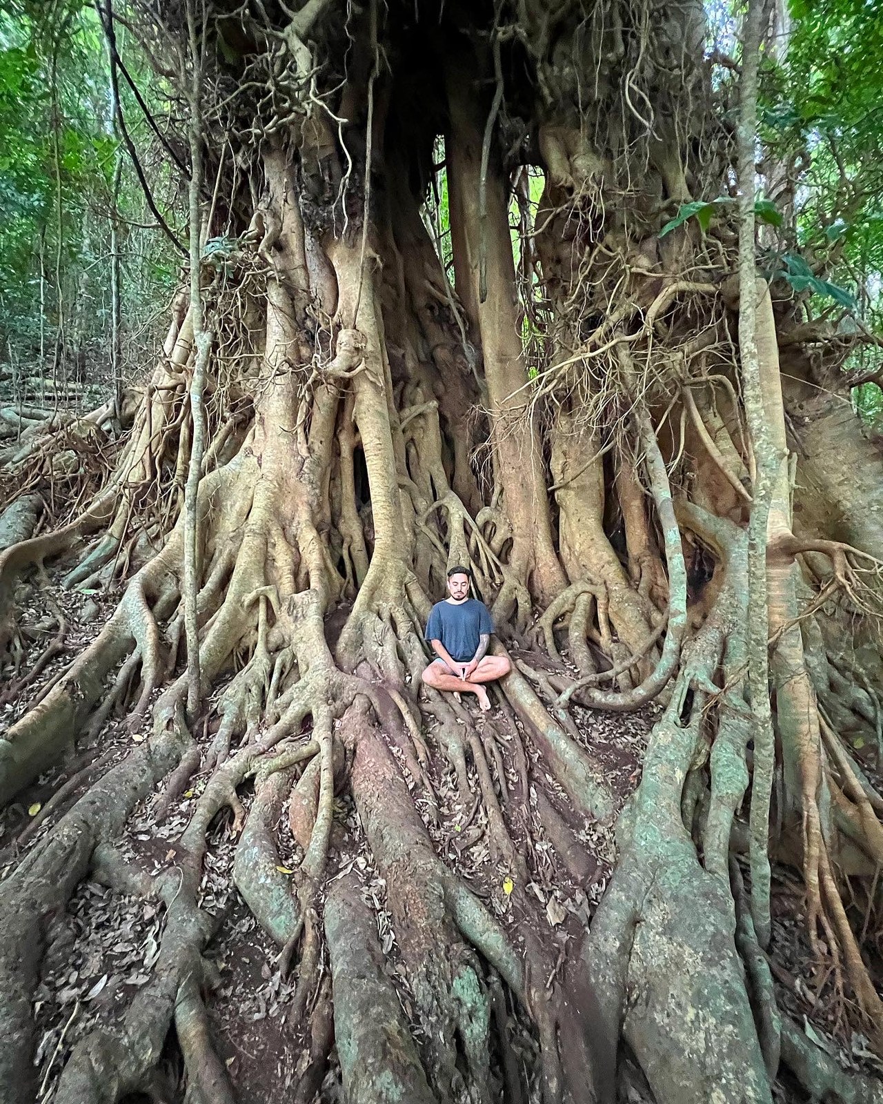 Thematic illustration: a person meditating in a forest