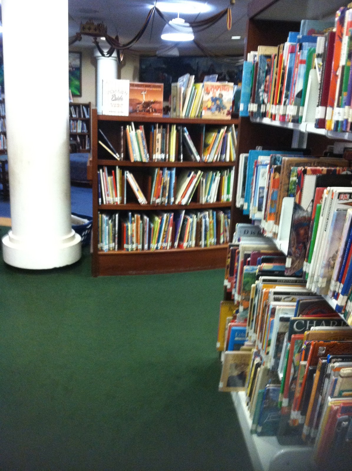 Thematic illustration: books on library shelves