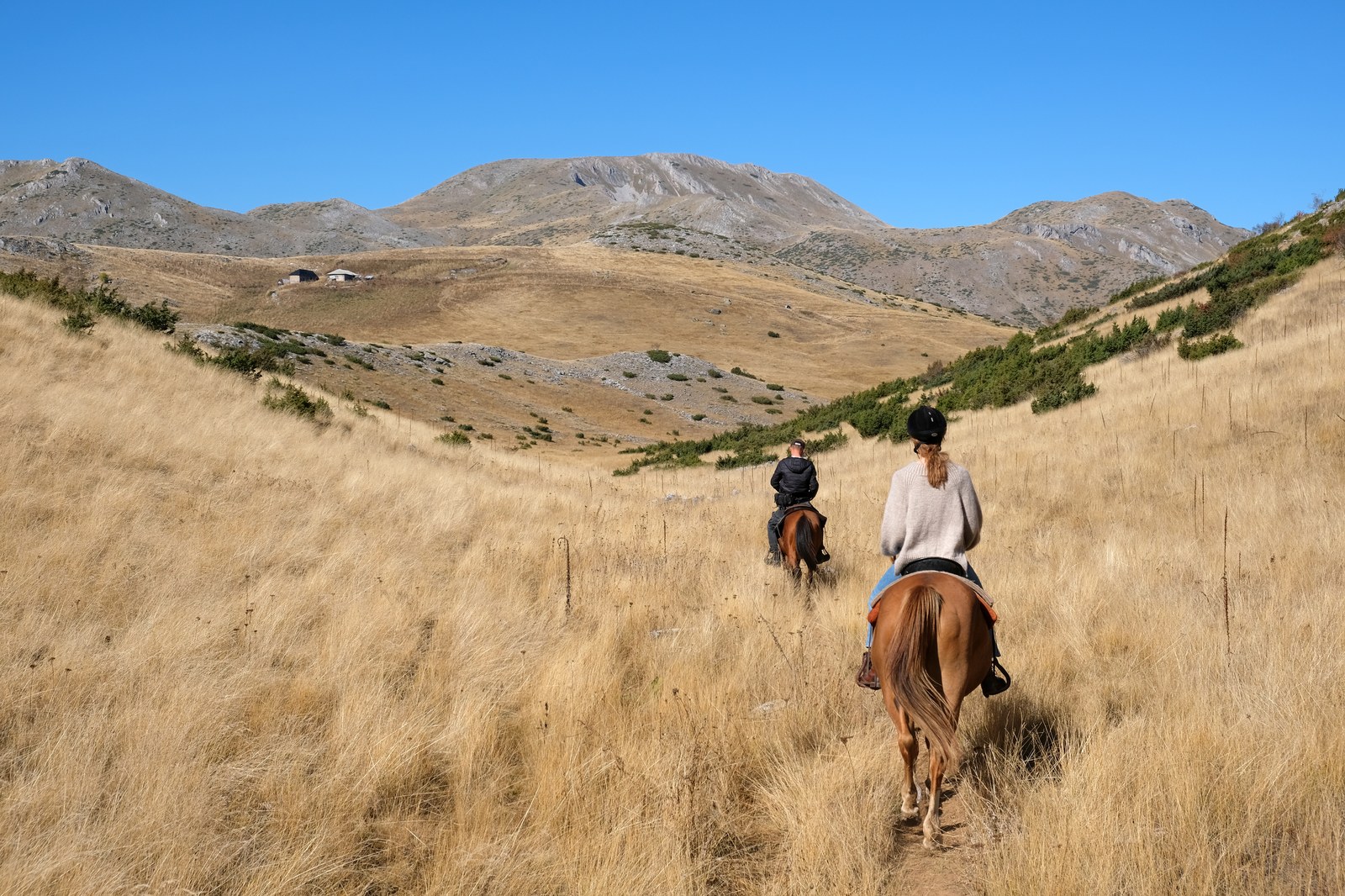 Thematic illustration: a person horse riding in the mountains