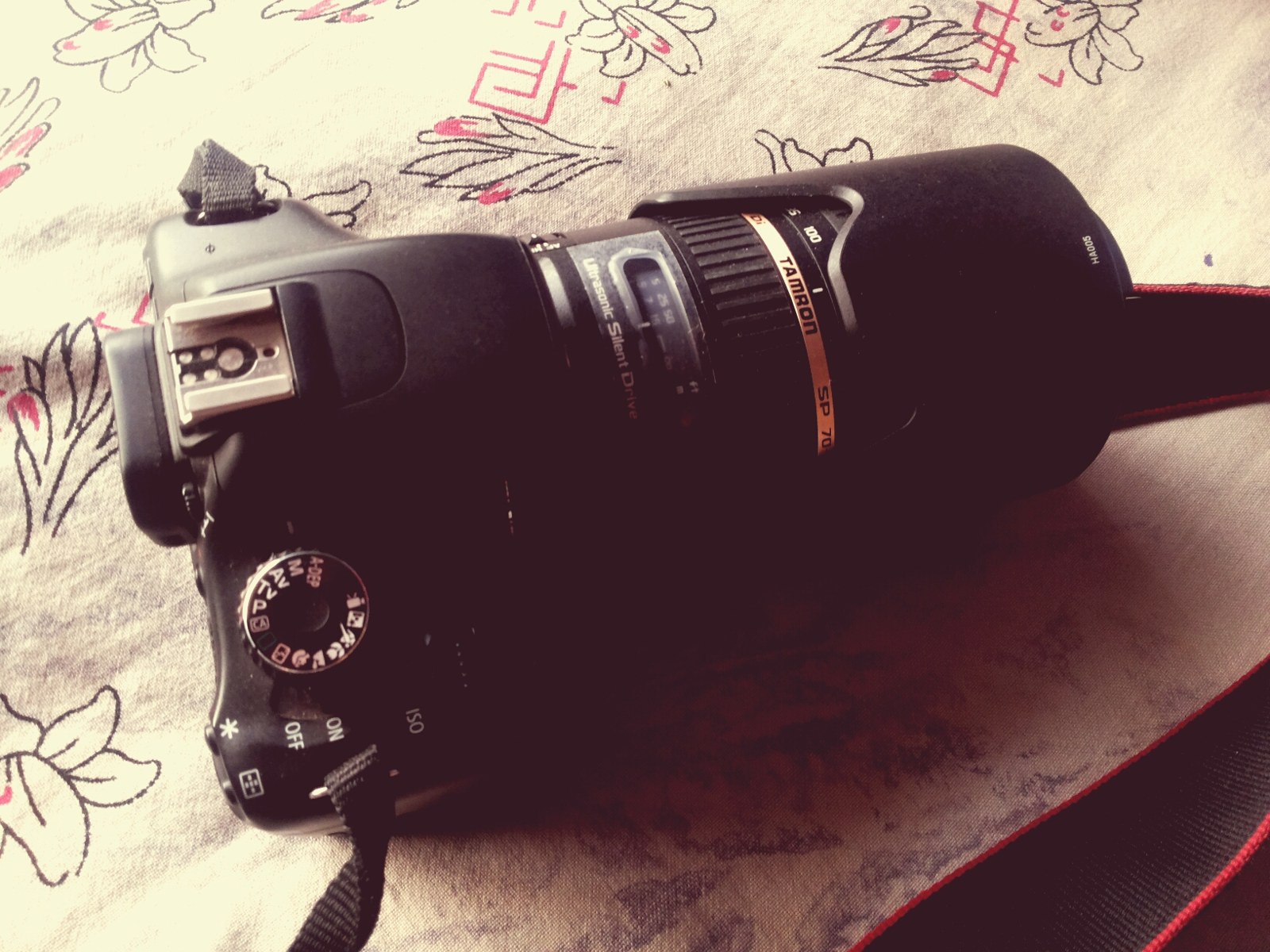 Thematic illustration: a professional DSLR camera