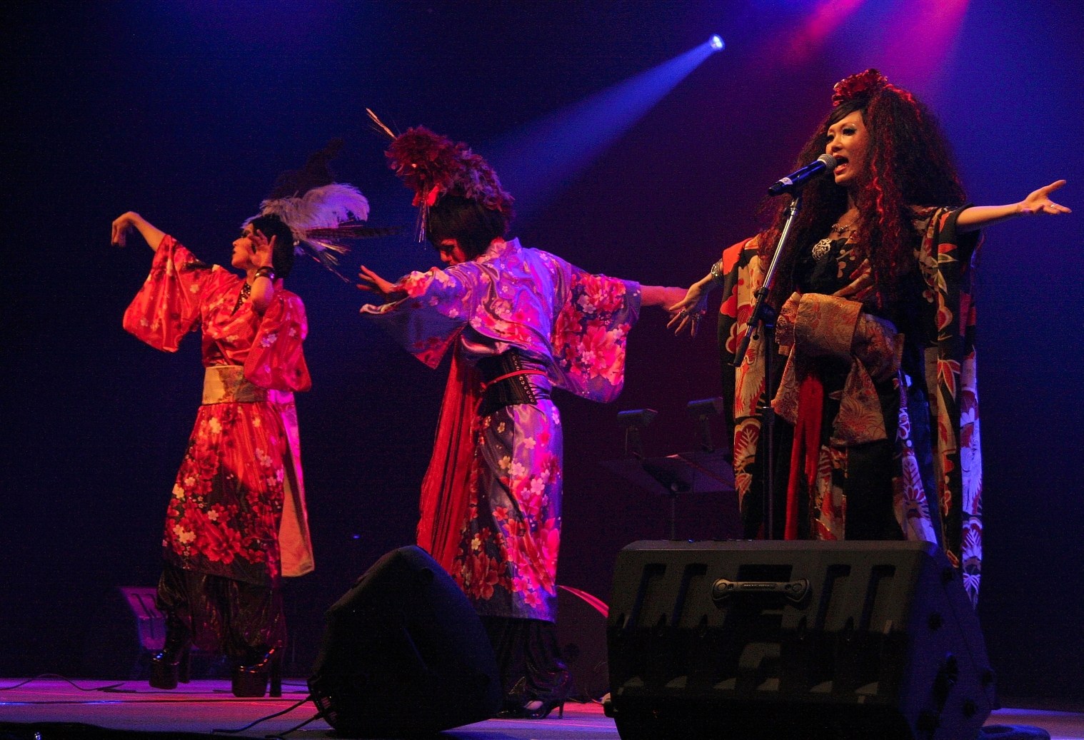 Thematic illustration: a live concert stage performance