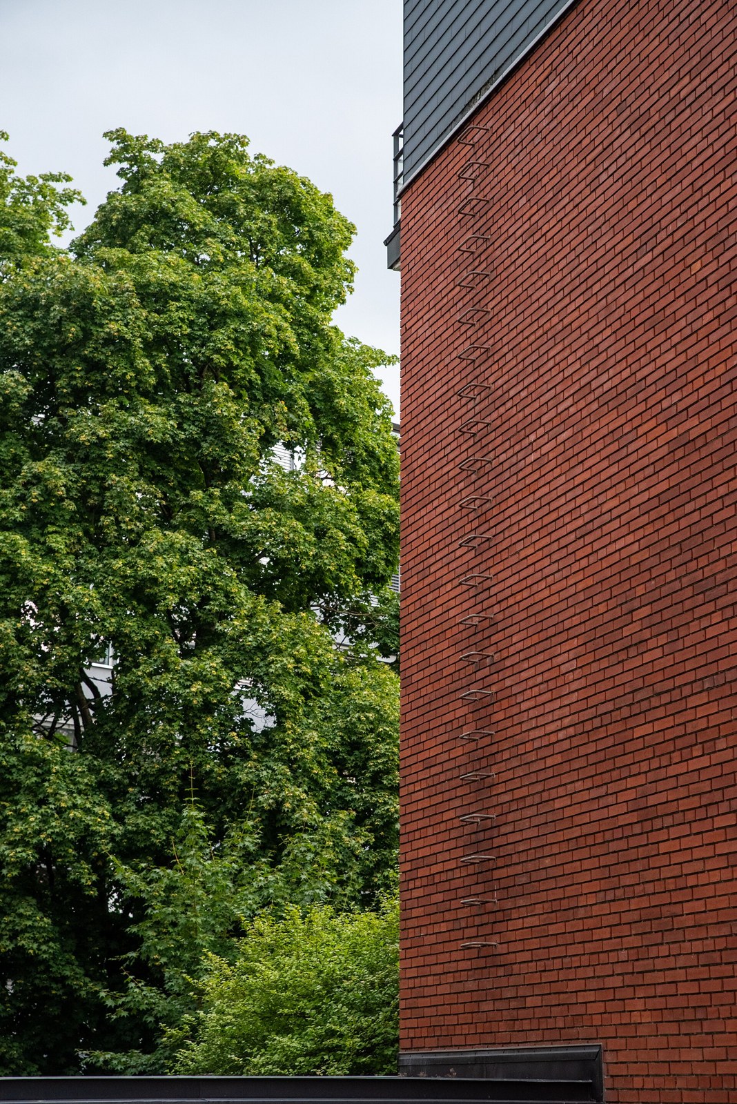 Thematic illustration: a bedroom window with ladder