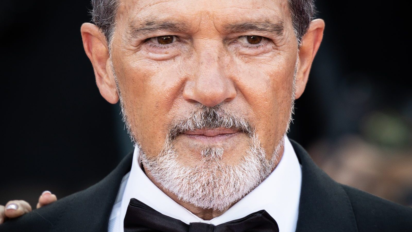 Antonio Banderas, in a relationship with Nicole Kimpel since 2014